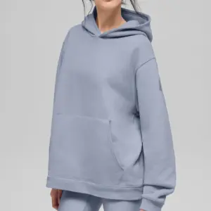Renown Heavy Weight Hoodie - Winter Frost