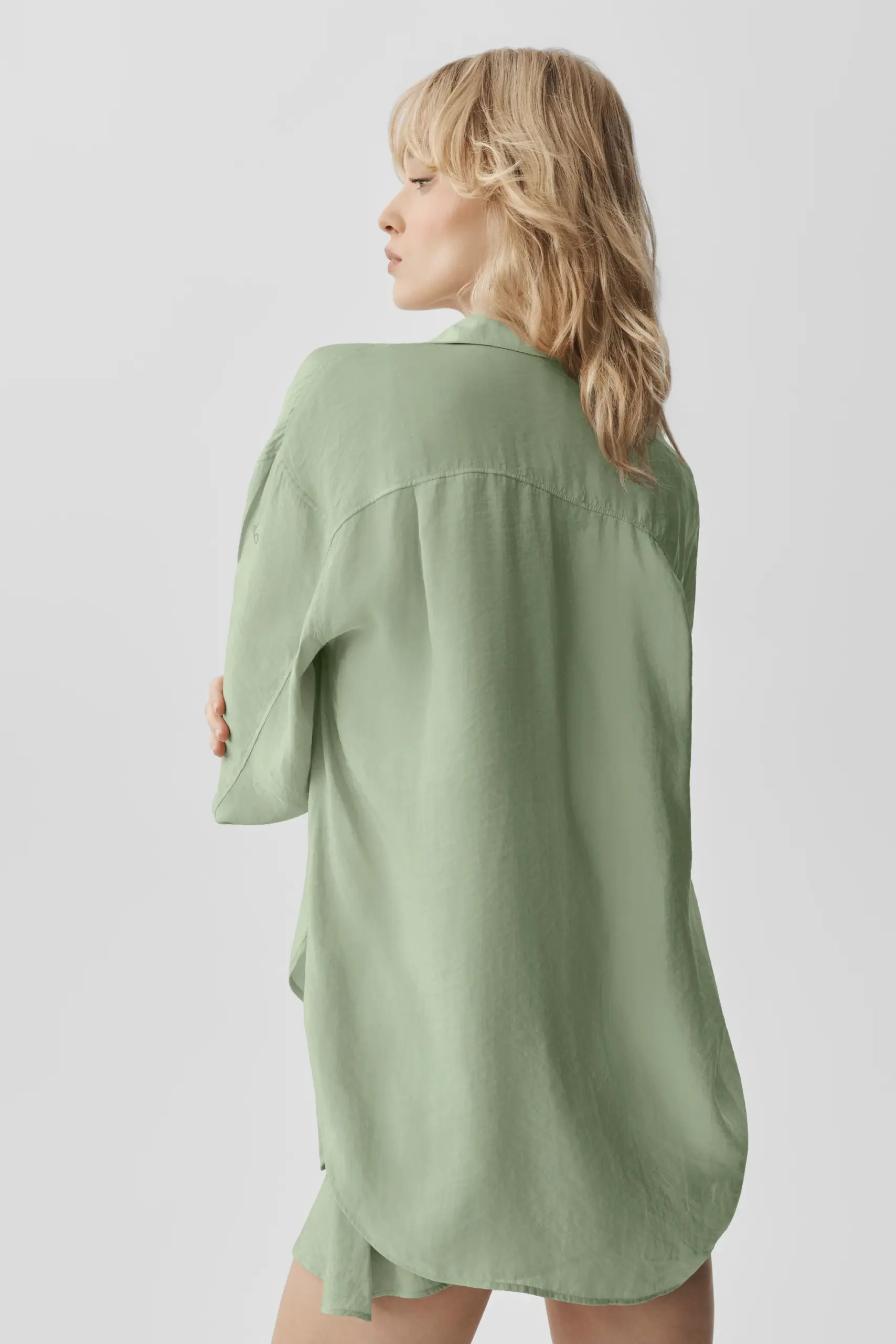 Semi-Sheer Golden Hour Button Down Long Sleeve - Dune Grass - Image 2